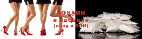 apvp Алексин