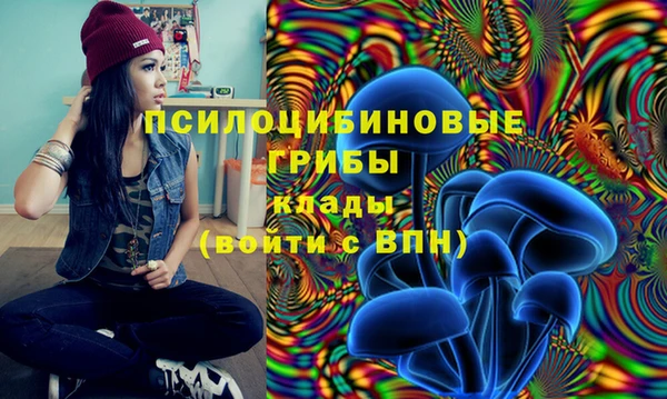 apvp Алексин