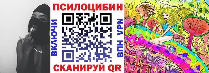 Купить где Среднеколымск Галлюциногенные грибы мухоморы